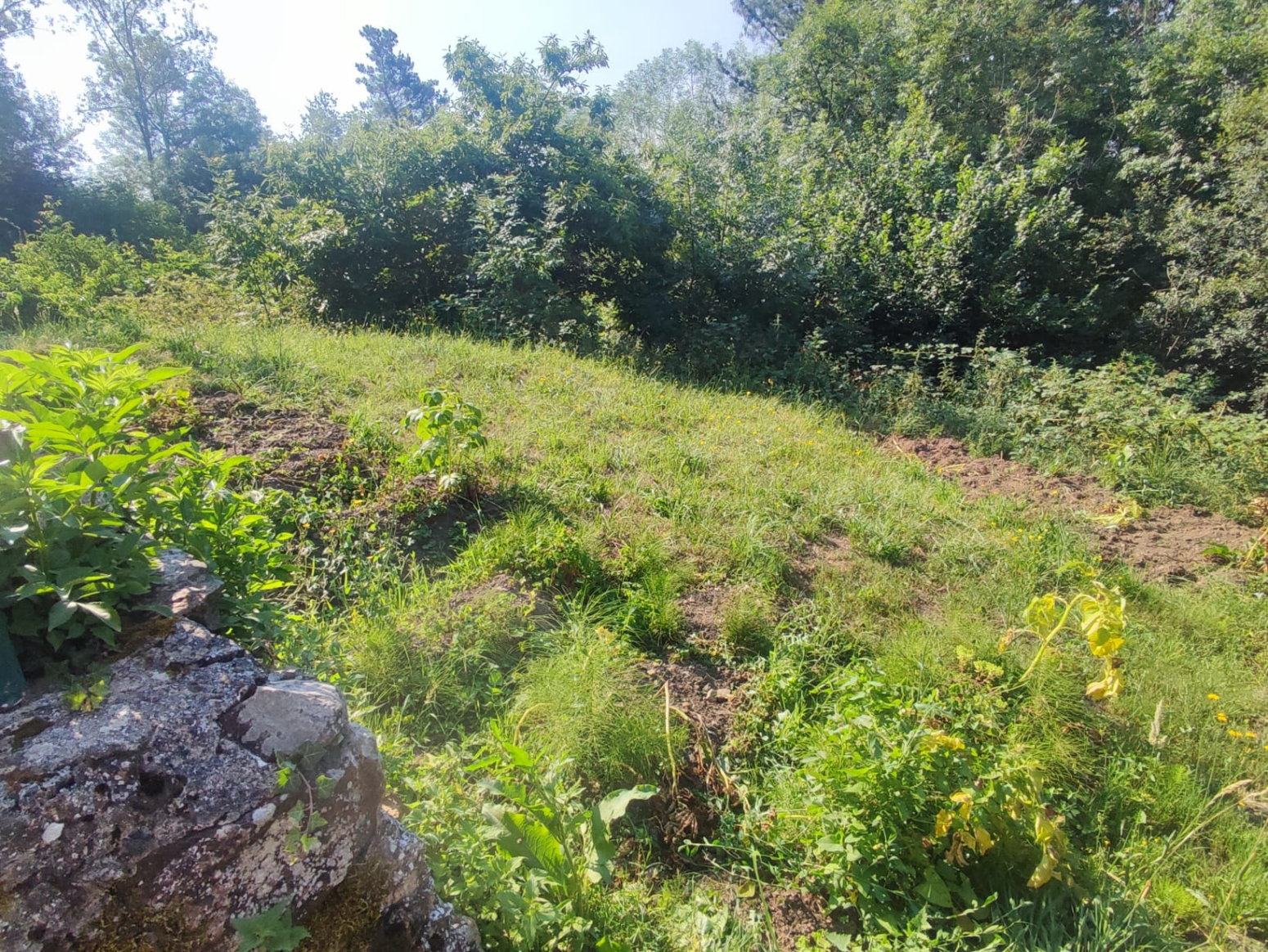 Jardín