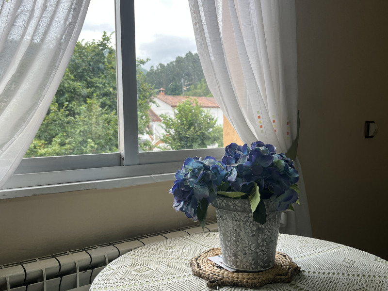 Casas o chalets, Venta