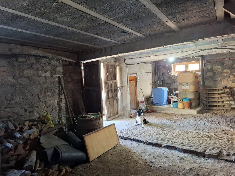 Casas o chalets, Alquiler