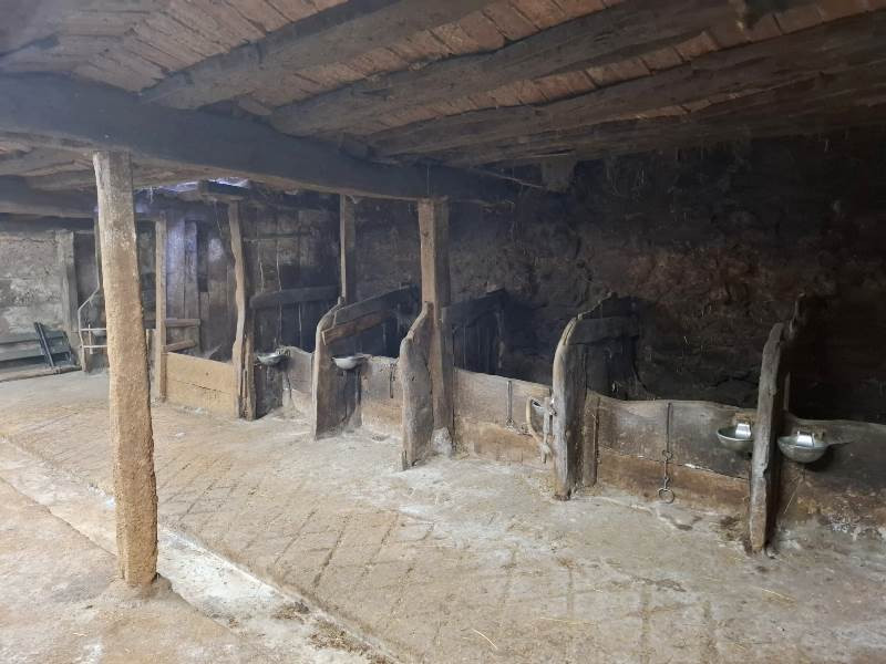 Casas o chalets, Alquiler