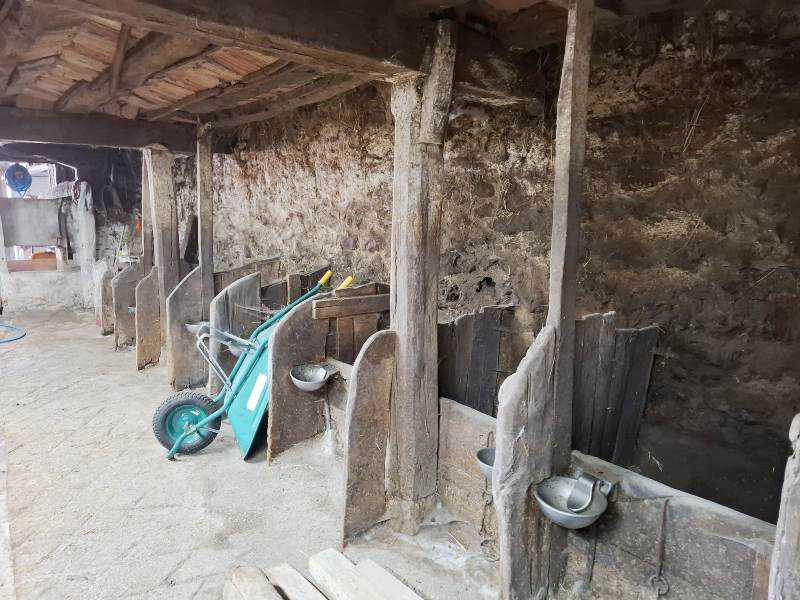 Casas o chalets, Alquiler