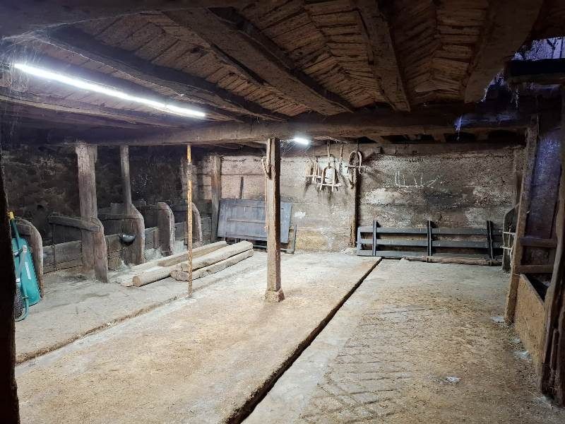 Casas o chalets, Alquiler