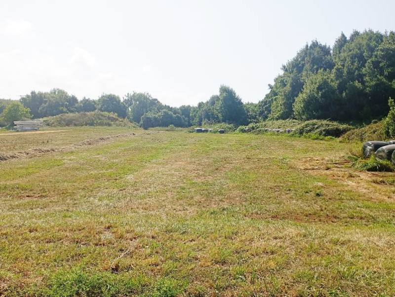 Fincas y solares, Venta