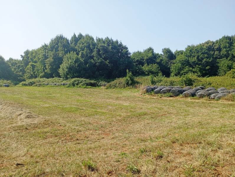 Fincas y solares, Venta