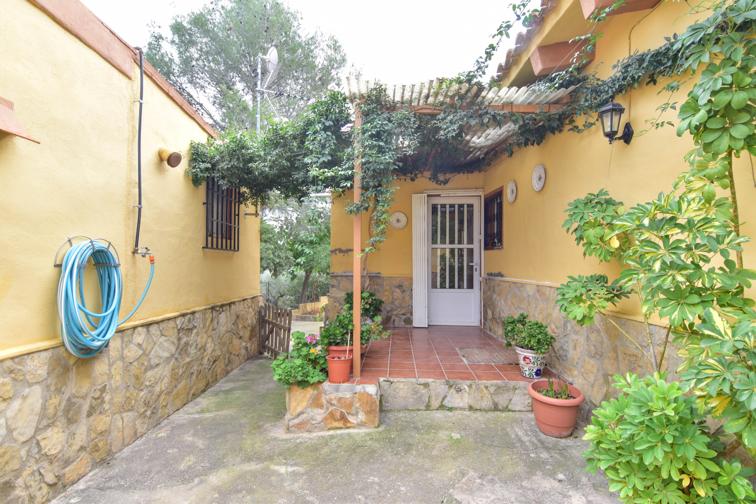 Casas o chalets-Venta-Enguera-1480525-Foto-46