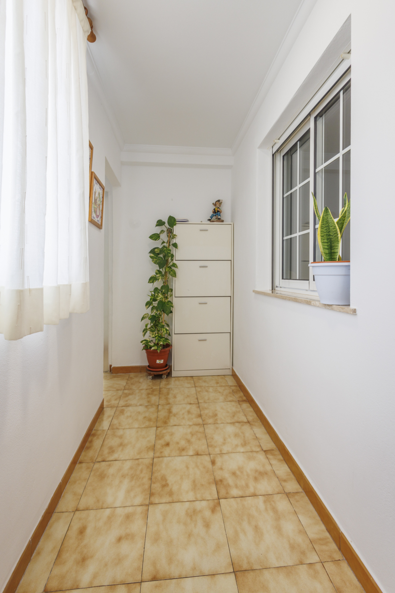 Casas o chalets-Venta-Carlet-2338039-Foto-12