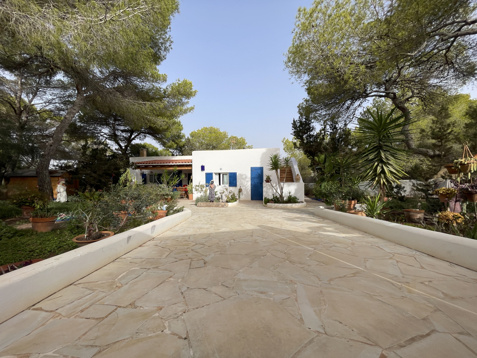 Casas o chalets-Venta-Formentera-1461481-Foto-3