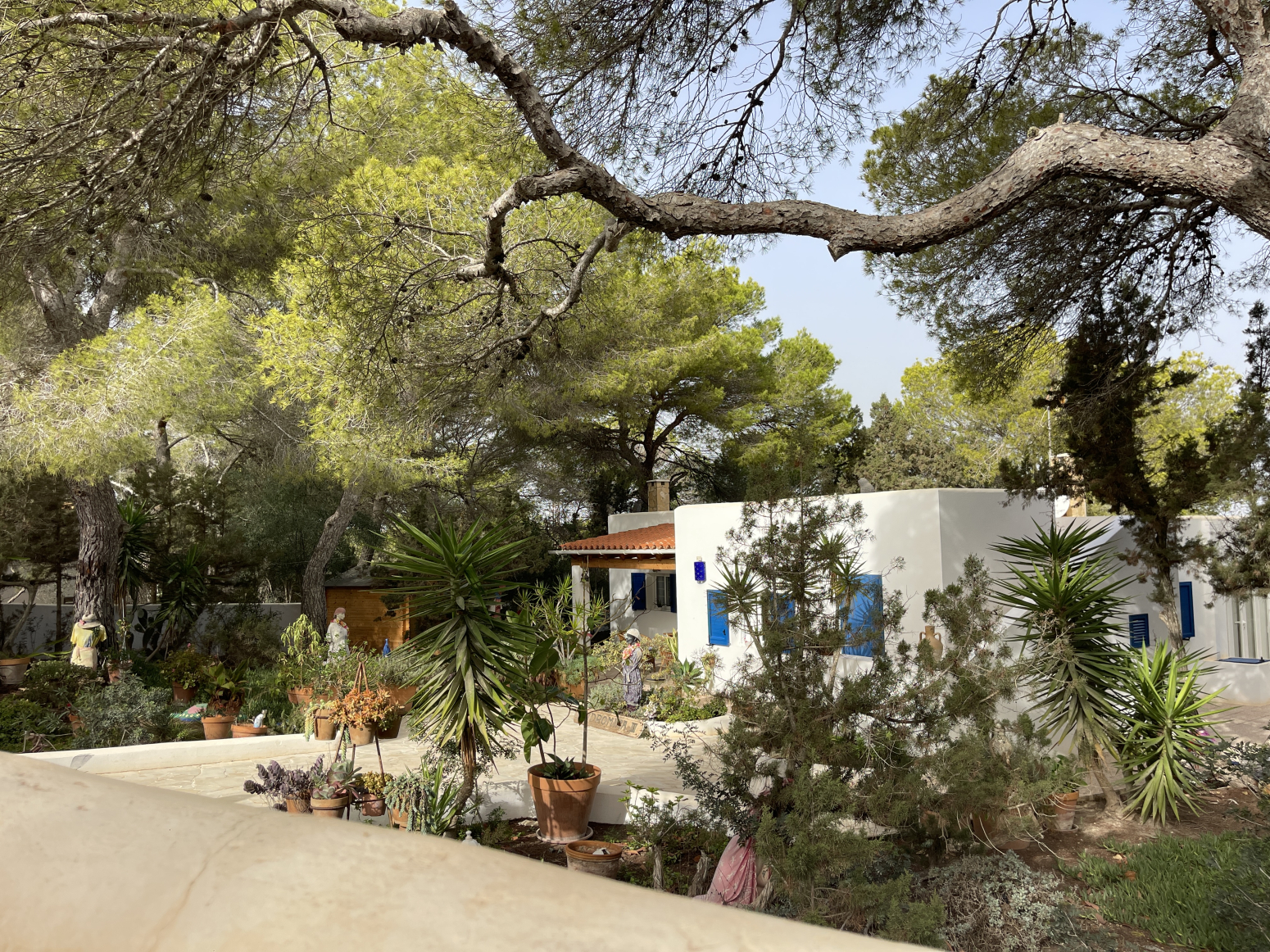 Casas o chalets-Venta-Formentera-1461481-Foto-5