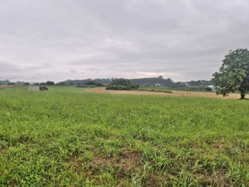 Fincas y solares-Venta-Marina de Cudeyo-2348607