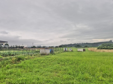 Fincas y solares-Venta-Marina de Cudeyo-2348607-Foto-4-Carrousel