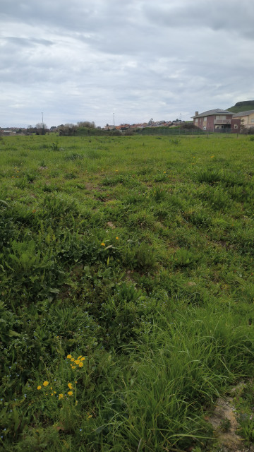 Venta de terreno edificable en Hinojedo