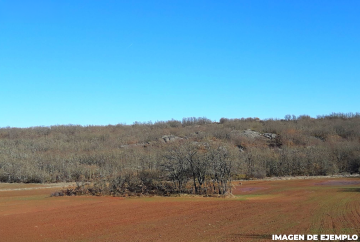 Fincas y solares-Venta-Aguilar de Campoo-2300253-Foto-1-Carrousel