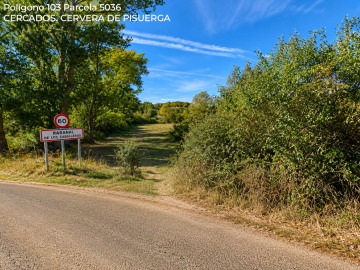 Fincas y solares-Venta-Cervera de Pisuerga-2362906-Foto-4-Carrousel