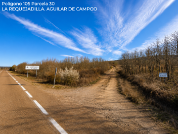 Fincas y solares-Venta-Aguilar de Campoo-2362908