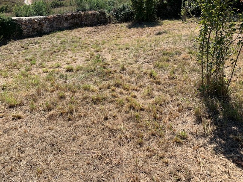 Suelo en Cozuelos de Ojeda