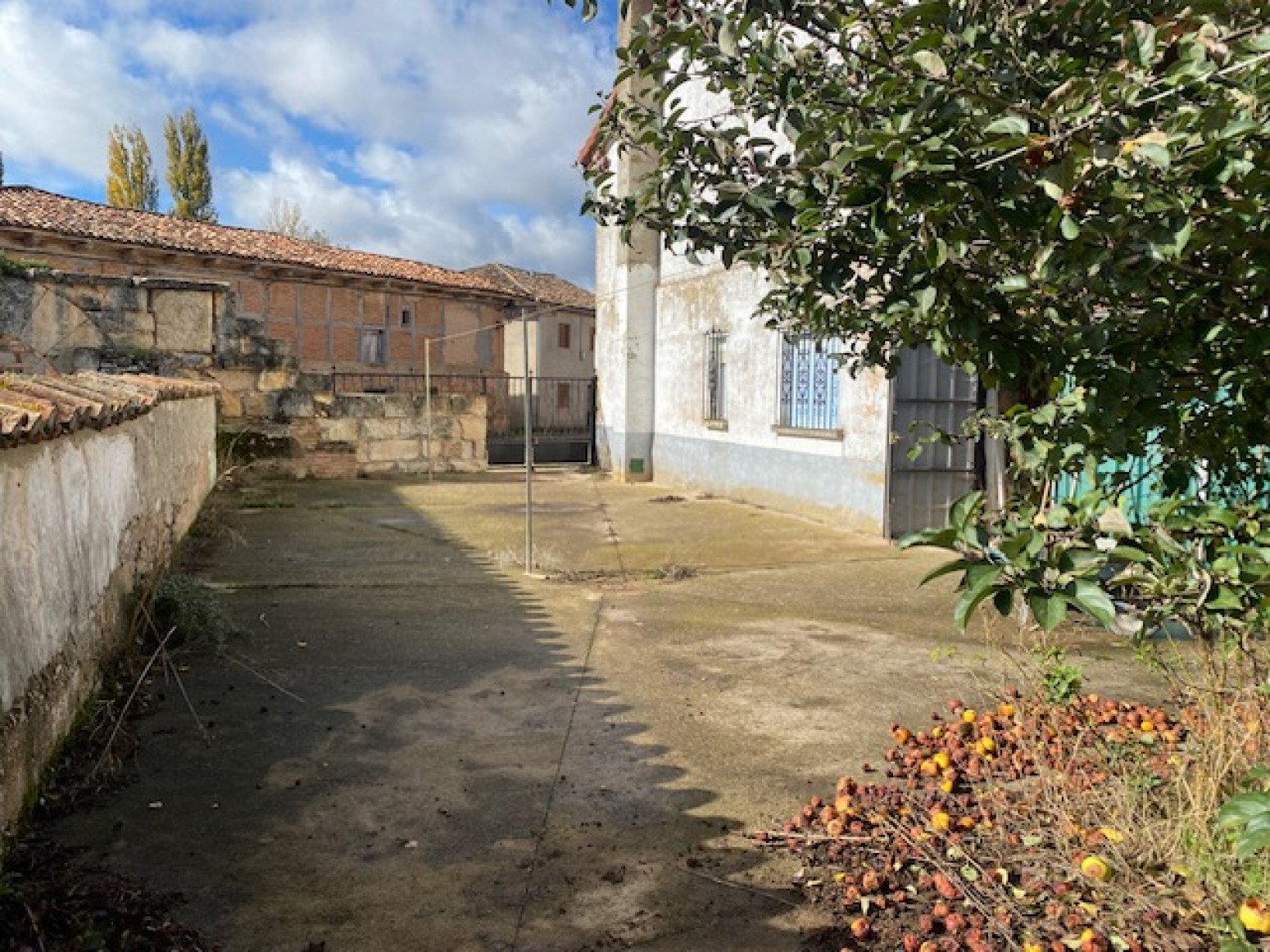 Casas o chalets-Venta-Olmos de Ojeda-998919-Foto-13