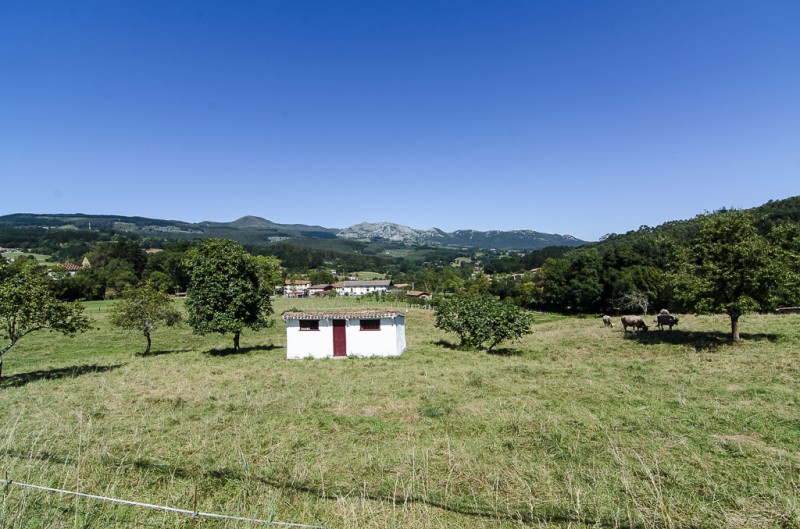 Fincas y solares en Valle de Villaverde