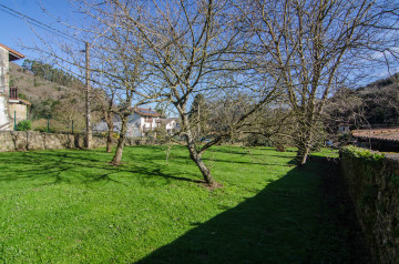 Jardín