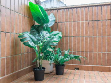 Pisos en Venta en SantoÃ±a Ref 039307 Foto 11-Carrousel