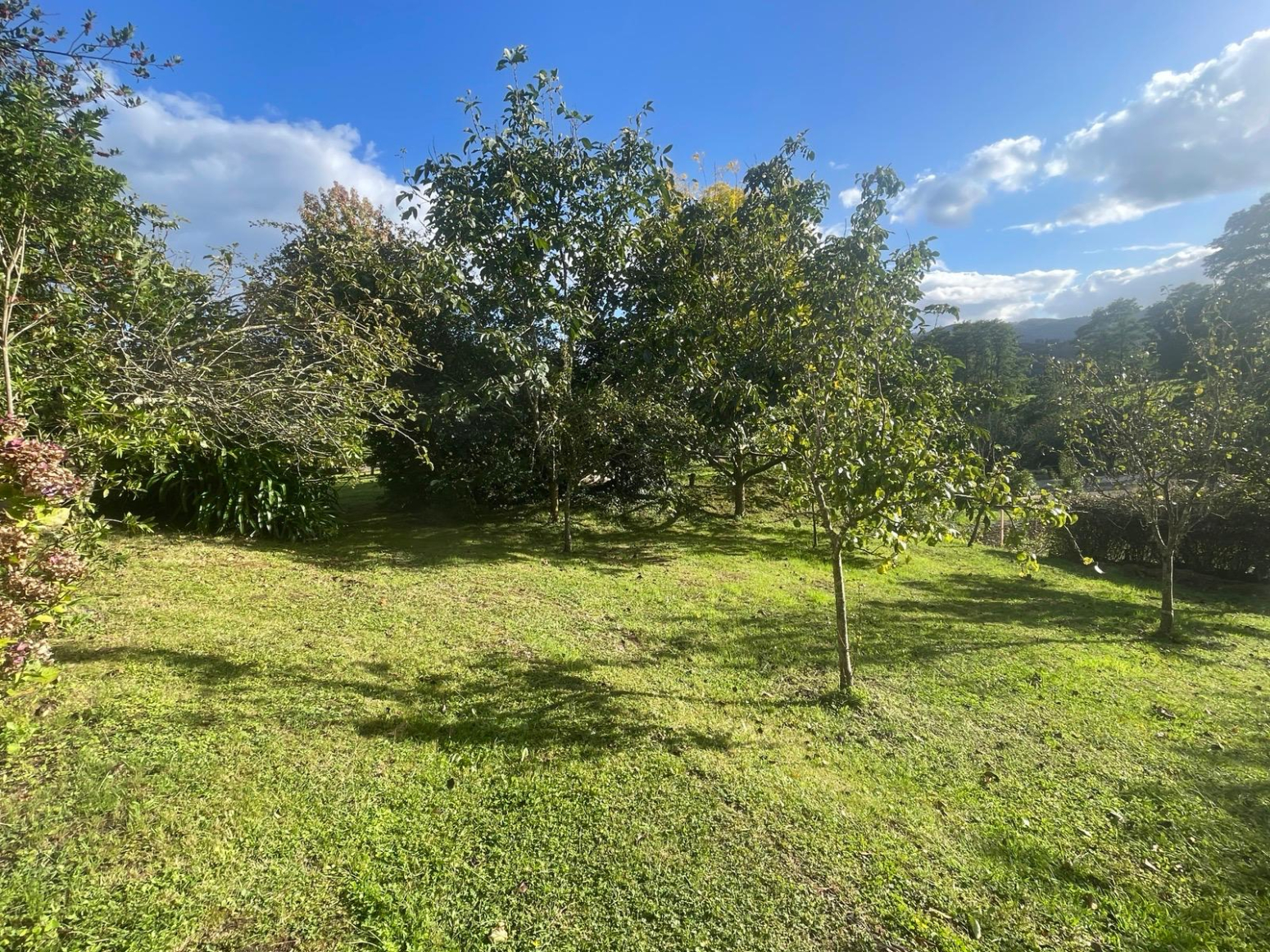 Casas o chalets-Venta-Villaviciosa-1585879-Foto-8