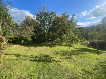 FINCA