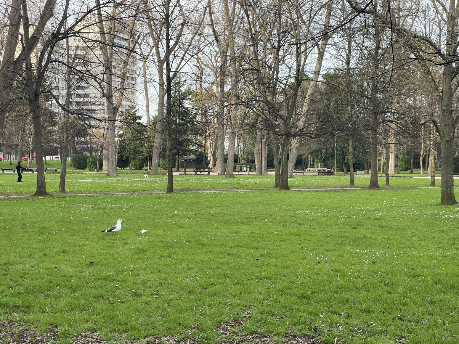 Pisos-Venta-GijÃ³n-1642016-Foto-25