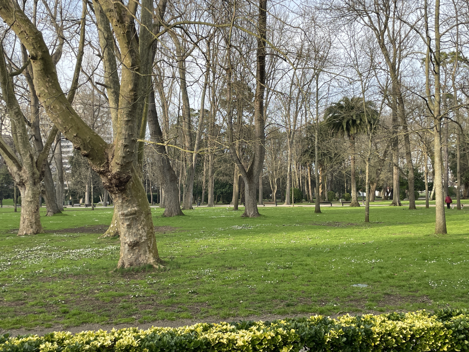 Pisos-Venta-GijÃ³n-1642016-Foto-28