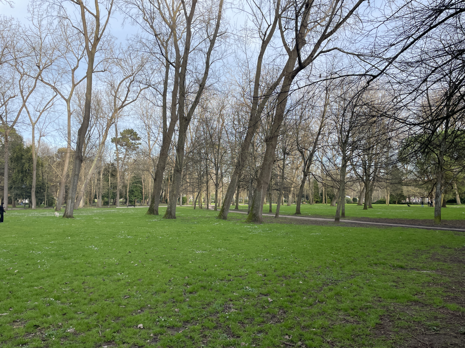 Pisos-Venta-GijÃ³n-1642016-Foto-23