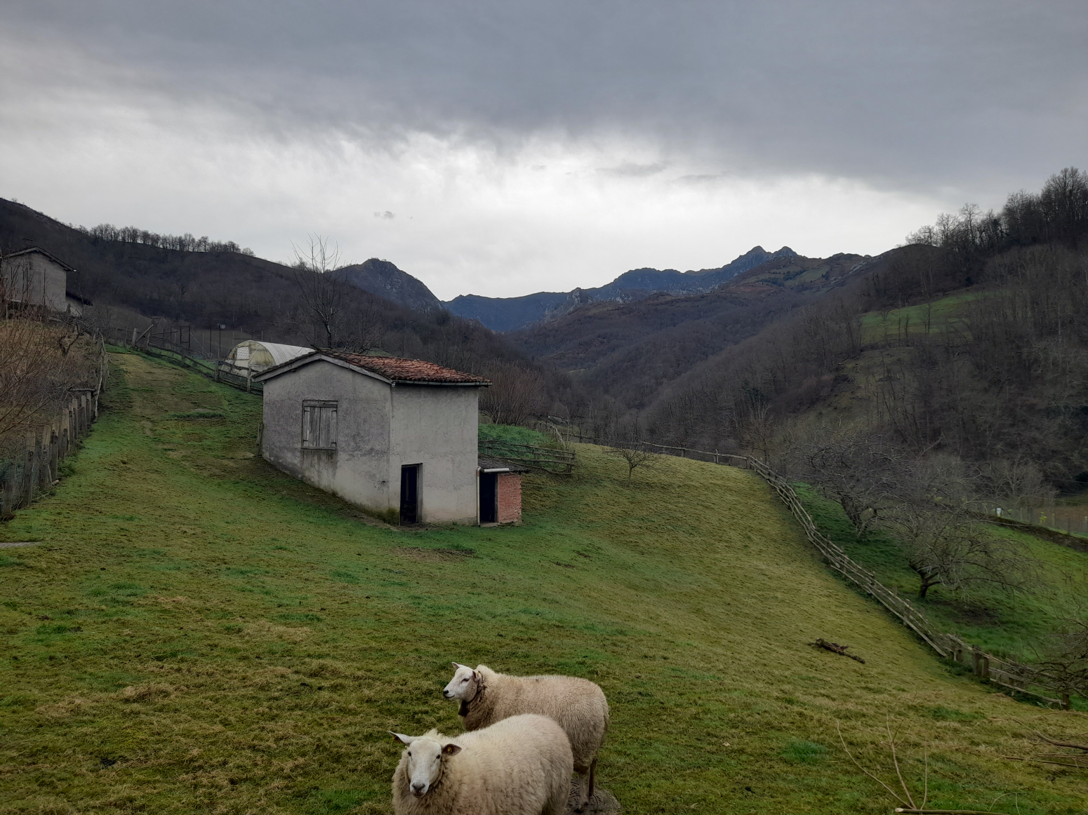 Casas o chalets-Venta-Laviana-1653228-Foto-5