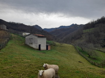 Casas o chalets-Venta-Laviana-1653228-Foto-4-Carrousel