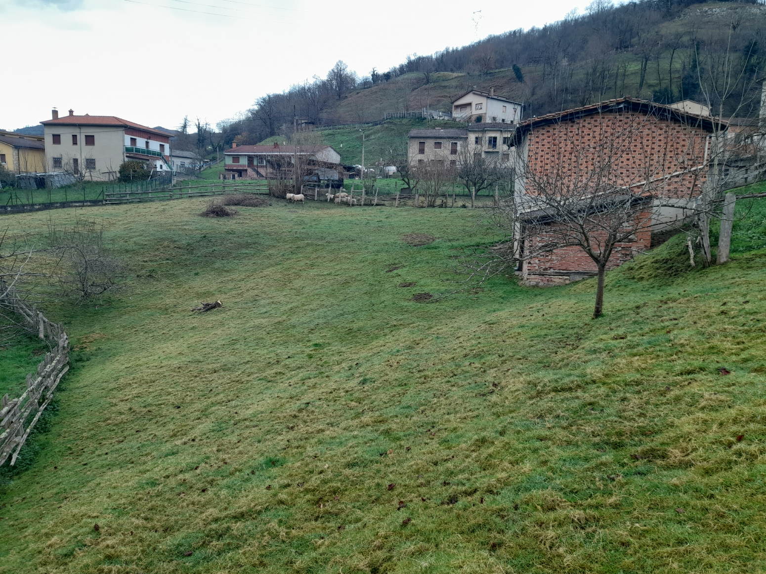 Casas o chalets-Venta-Laviana-1653228-Foto-8