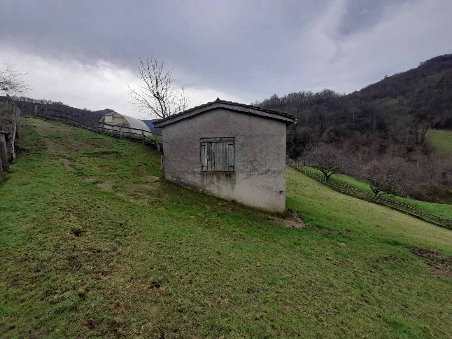 Casas o chalets-Venta-Laviana-1653228-Foto-3