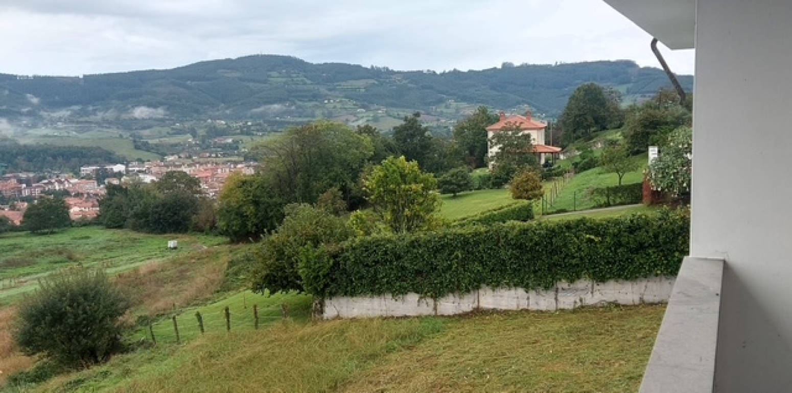 Casas o chalets-Venta-Villaviciosa-1654659-Foto-19