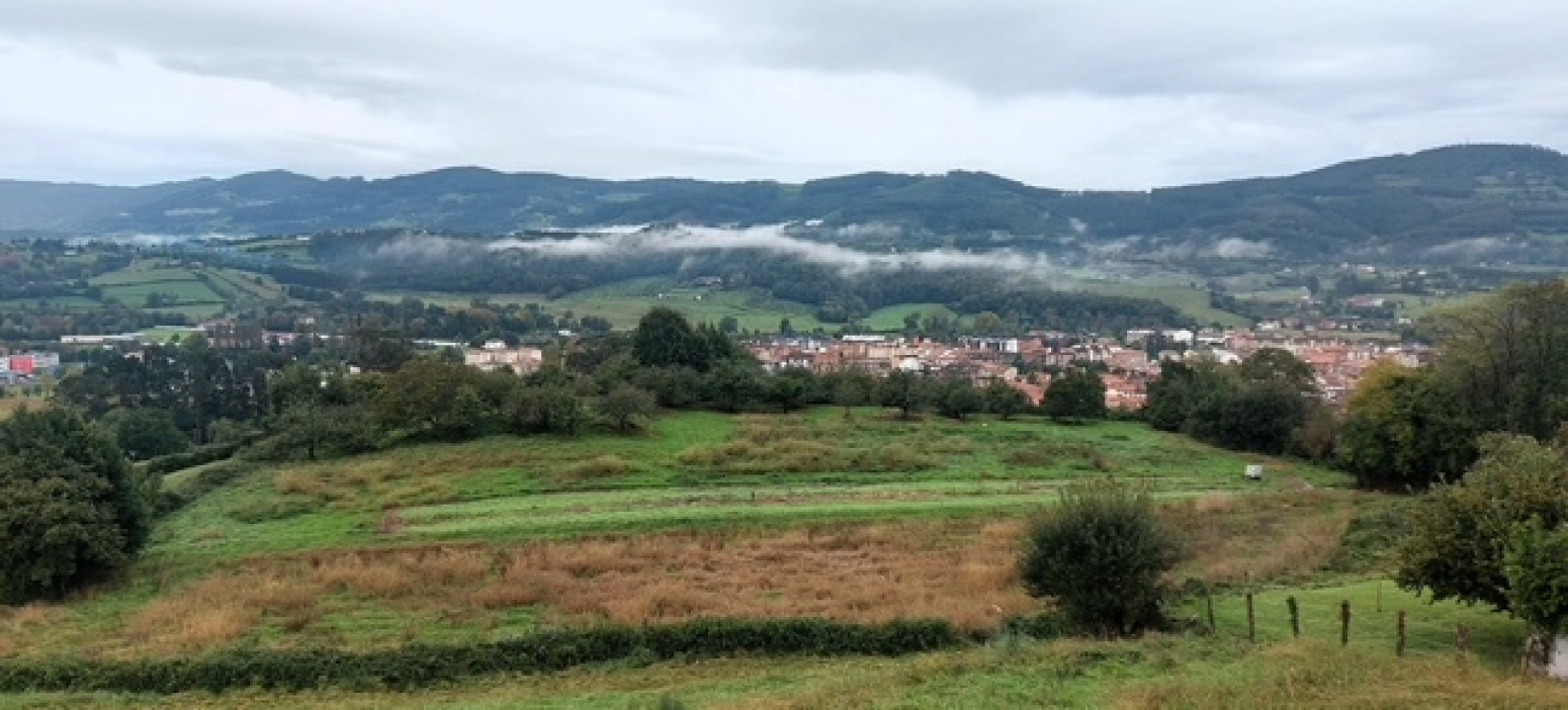 Casas o chalets-Venta-Villaviciosa-1654659-Foto-11