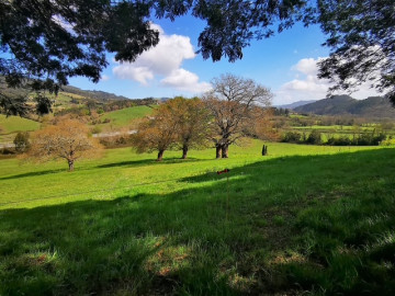 Casas o chalets-Venta-Villaviciosa-1654664-Foto-14-Carrousel