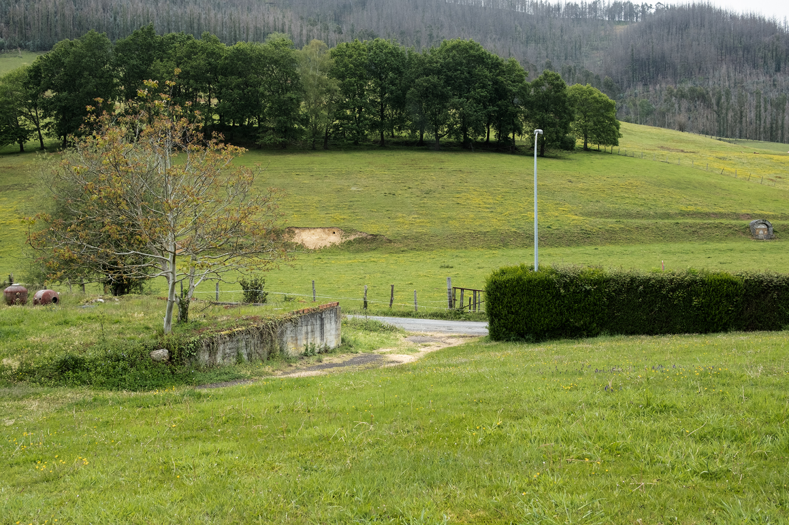 Casas o chalets-Venta-PiloÃ±a-1685368-Foto-45