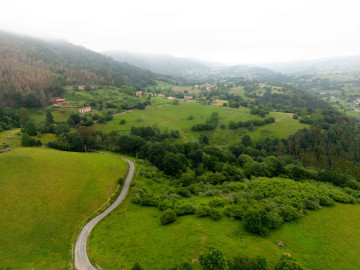 Casas o chalets-Venta-PiloÃ±a-1685368-Foto-32-Carrousel