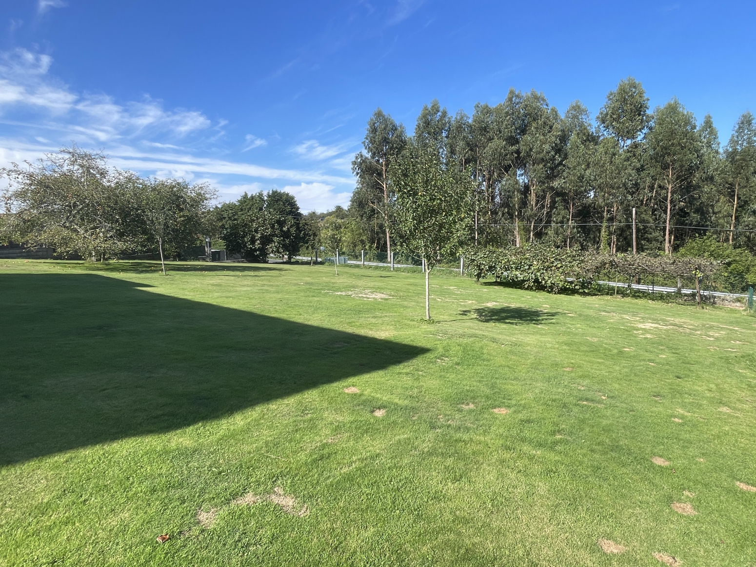 Casas o chalets-Venta-Villaviciosa-973108-Foto-42
