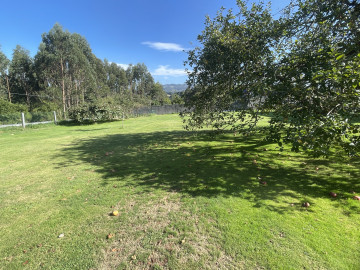 Casas o chalets-Venta-Villaviciosa-973108-Foto-42-Carrousel