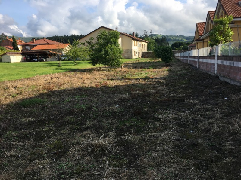 Fincas y solares en SolÃ³rzano