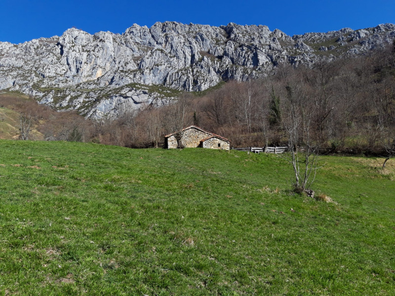 Venta de Fincas y solares en Caso