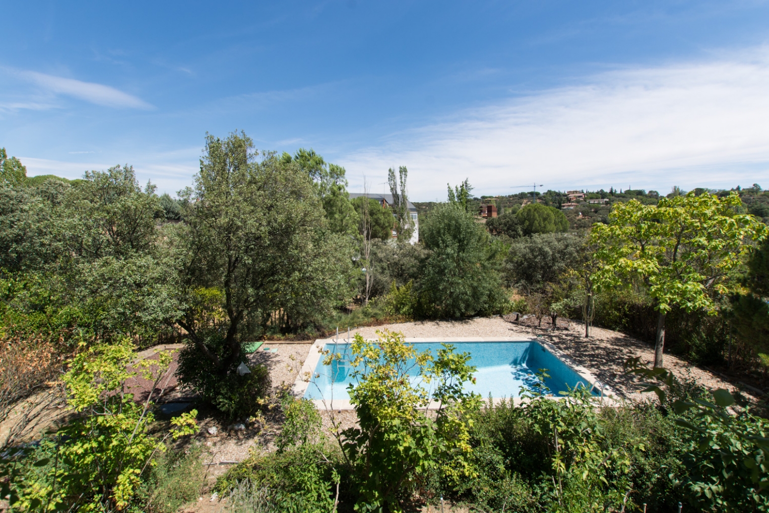 Casas o chalets-Alquiler-Las Rozas de Madrid-154938-Foto-2