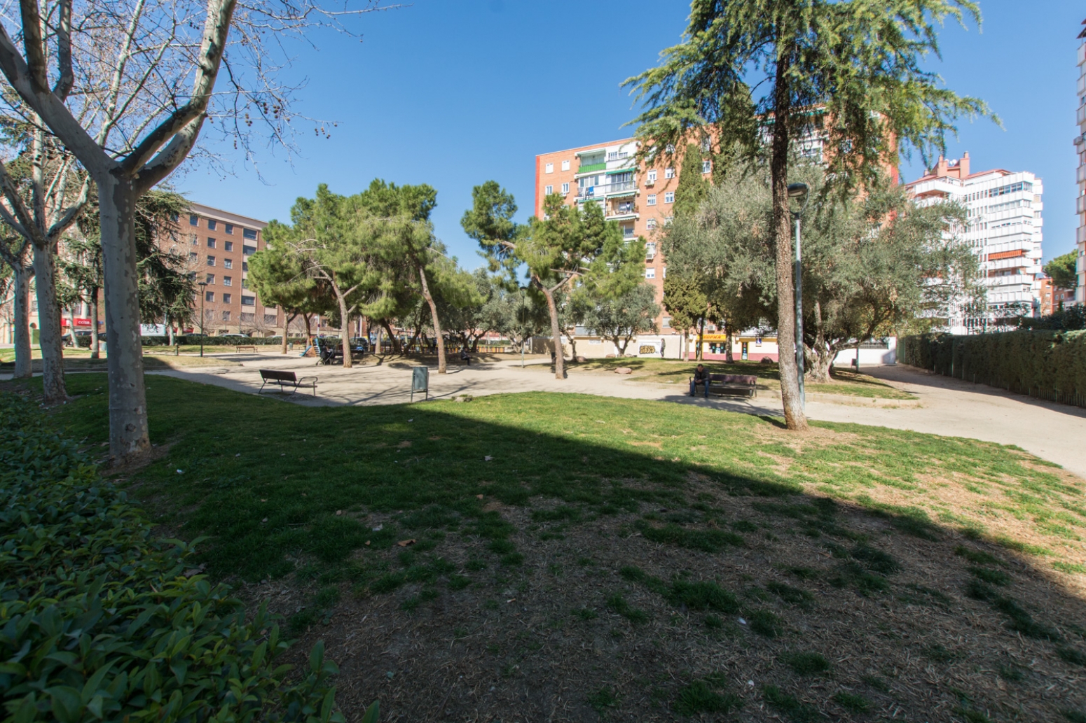 Locales-Venta-MÃ³stoles-184591-Foto-23