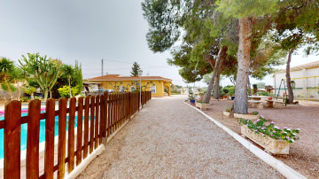 Casas o chalets-Venta-Crevillent-1419196-Foto-34-Carrousel