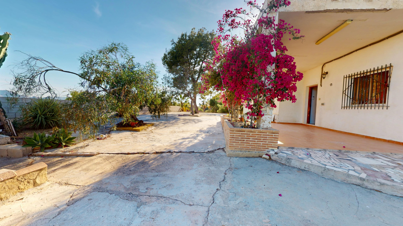 Casas o chalets-Venta-Albatera-2315184-Foto-6