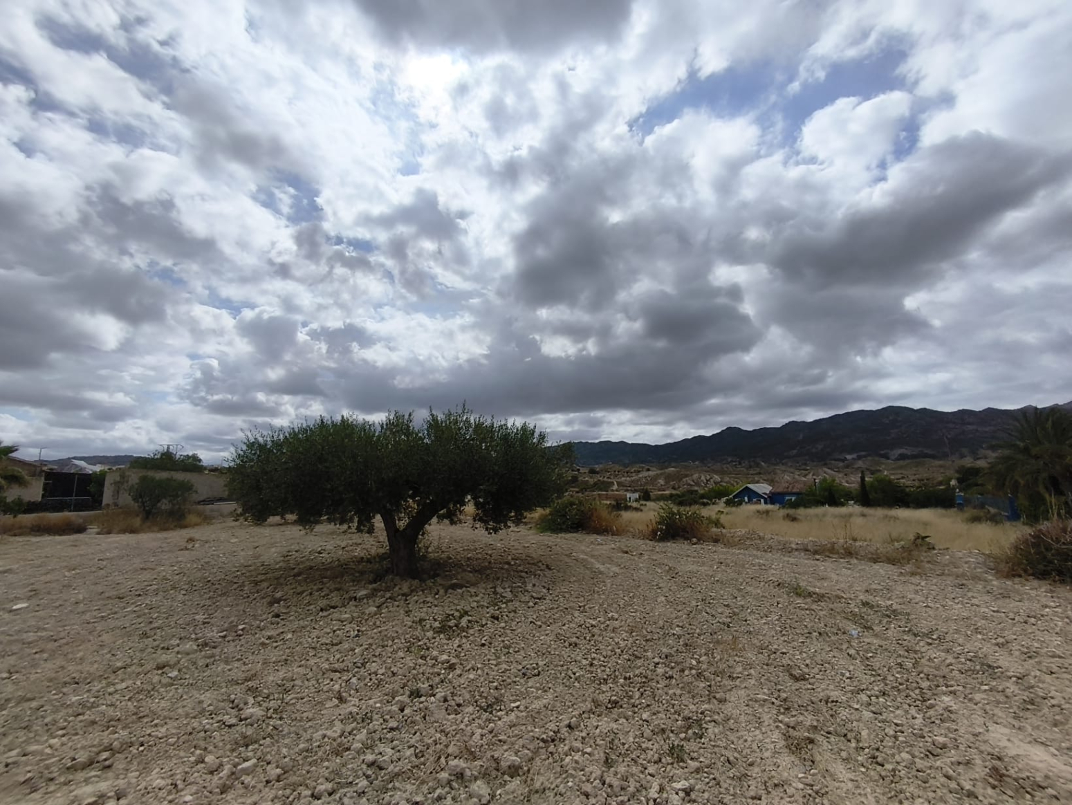 Casas o chalets-Venta-Abanilla-2334472-Foto-39