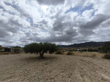 Casas o chalets-Venta-Abanilla-2334472-Foto-38-Carrousel